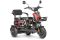 Электротрицикл Wanshida UN MOTO 60V 650Вт